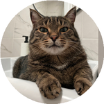 Динагуль А.