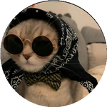 Аружан Б.