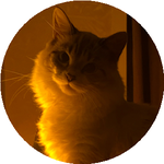 Анастасия К.