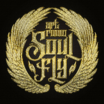 Вячеслав Т.