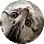 Нұрбақыт Р.