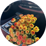 Даметкен Ж.