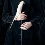 Еркебұлан Д.