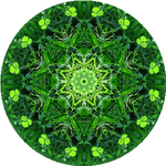 Мухаммедали Х.