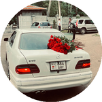 Адилбек К.
