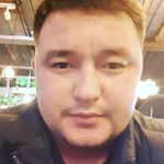 шторы
