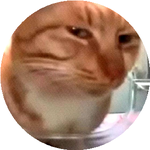 Данель А. (Я media group)