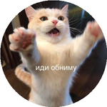 Оразхан Т.