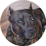 Кристина К.