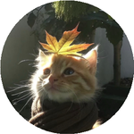 Толганай М.