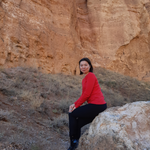 Нұрлыгүл Е. (Almaty polytechnic college)