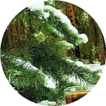 Ярослава Ю.