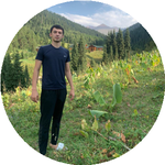 Алишер У.