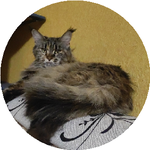 Екатерина А.