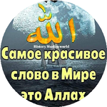 магазин Сара