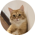 Евгений Т.