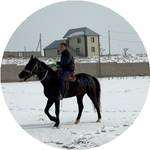 Айдос С.