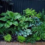 Вероника М.