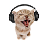 Нуржамал А.