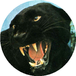 Егемберді Б.