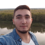 Амир Л.
