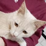 Александр Р.