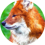 Ерсултан О.