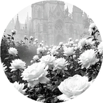 Әбілмансұр Б.