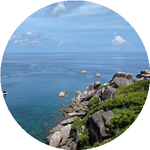 Александр Т.