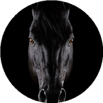 Нұрлыхан И.