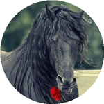 Гульмира Н.