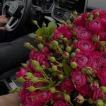 Журкабаева ИП