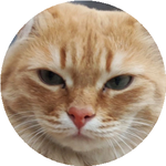 Бибимариям К.