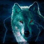 Владимир Б.