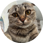 Нұрғаным Ә.