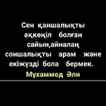 Дидар К.