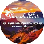 Айнур Н.