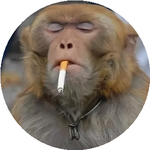 Махамбет С.