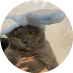 Дильназ Э.