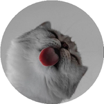 Ақтолқын С.