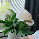 Светлана Б.