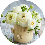 Феодосия У.