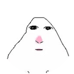 Анияш Қ.