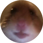 Жұлдыз С.