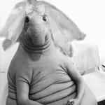 Молдир А. (Детский сад “Ақжелкен”)