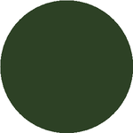 Нұрлыжан Ә.