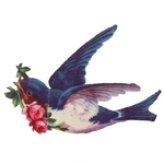 ИП Гынхузов