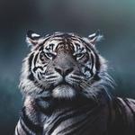 Аймаханбет Е.