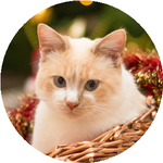 Вячеслав Л.