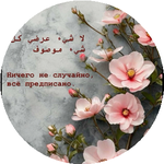 Салтанат Д.